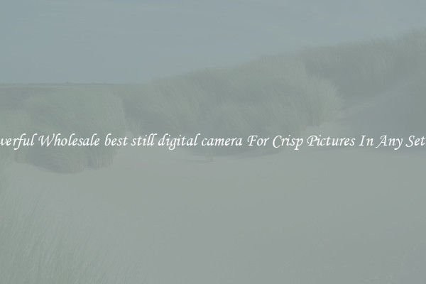 Powerful Wholesale best still digital camera For Crisp Pictures In Any Setting
