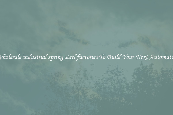 Wholesale industrial spring steel factories To Build Your Next Automaton