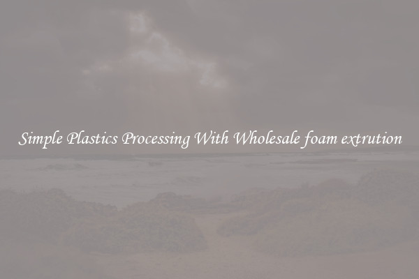 Simple Plastics Processing With Wholesale foam extrution