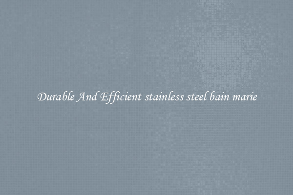 Durable And Efficient stainless steel bain marie