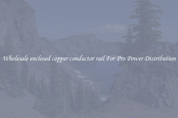 Wholesale enclosed copper conductor rail For Pro Power Distribution
