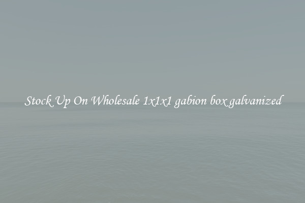 Stock Up On Wholesale 1x1x1 gabion box galvanized