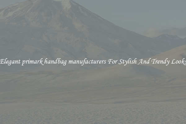 Elegant primark handbag manufacturers For Stylish And Trendy Looks
