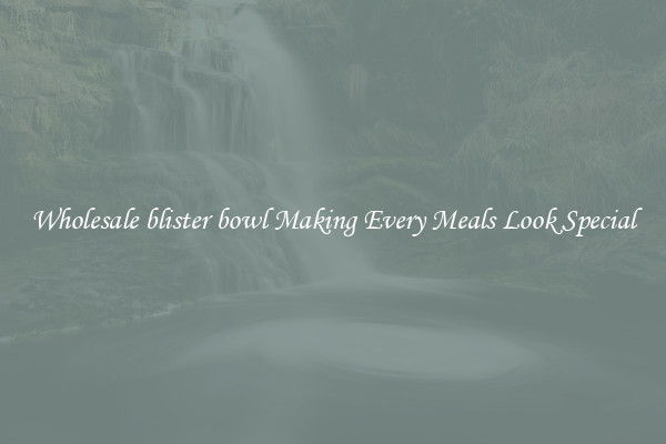 Wholesale blister bowl Making Every Meals Look Special