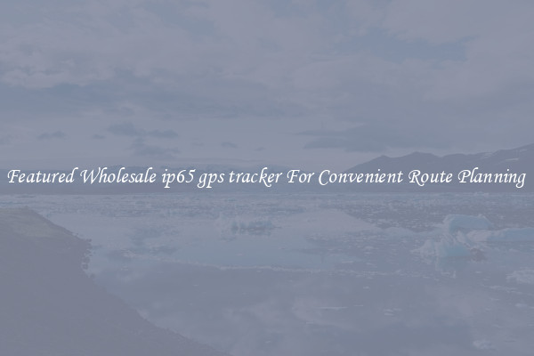 Featured Wholesale ip65 gps tracker For Convenient Route Planning 