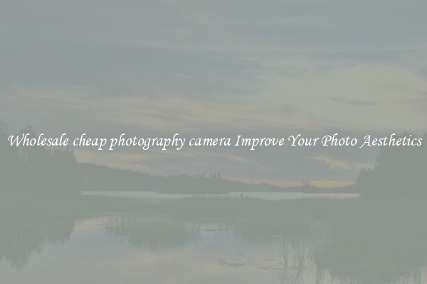 Wholesale cheap photography camera Improve Your Photo Aesthetics