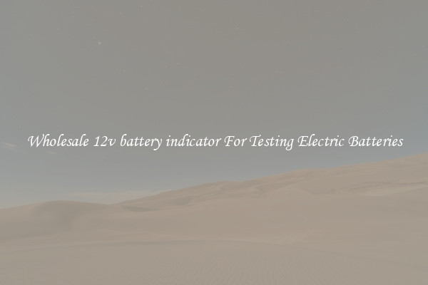 Wholesale 12v battery indicator For Testing Electric Batteries