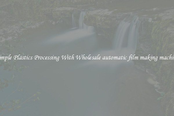 Simple Plastics Processing With Wholesale automatic film making machine
