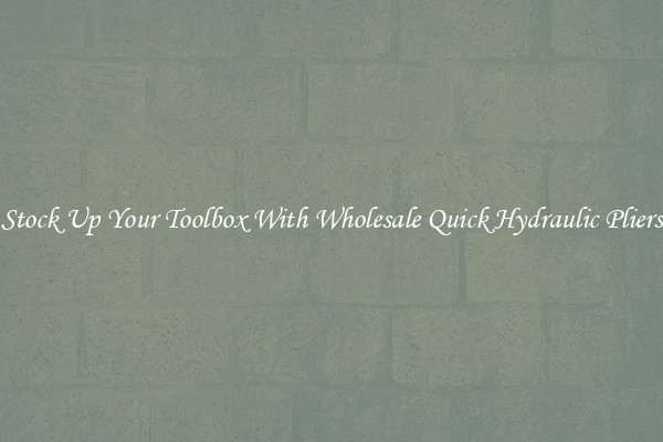 Stock Up Your Toolbox With Wholesale Quick Hydraulic Pliers
