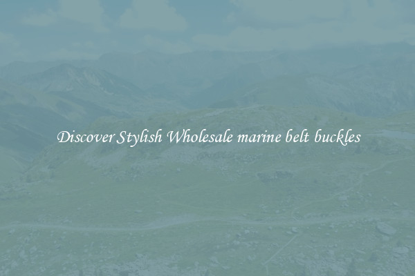 Discover Stylish Wholesale marine belt buckles