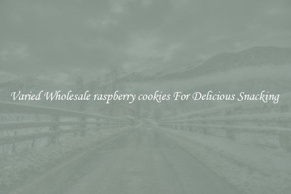 Varied Wholesale raspberry cookies For Delicious Snacking 