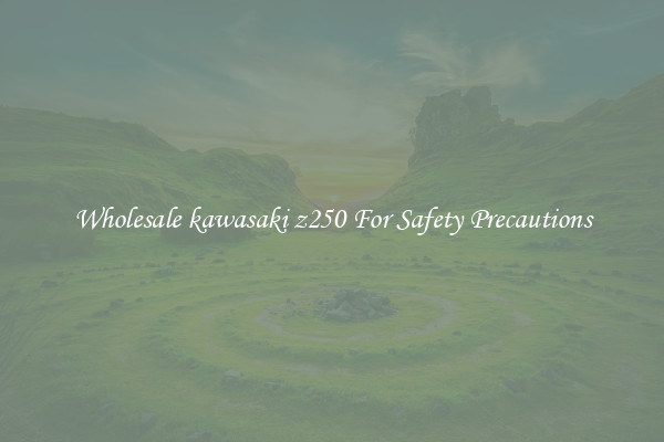 Wholesale kawasaki z250 For Safety Precautions