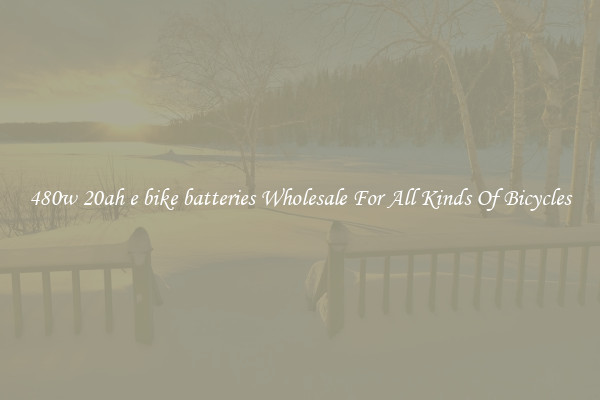 480w 20ah e bike batteries Wholesale For All Kinds Of Bicycles