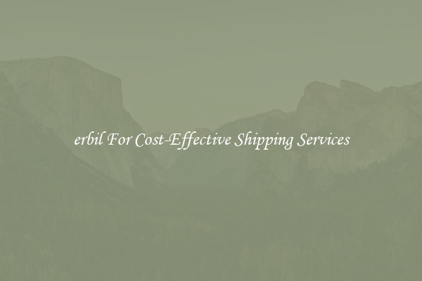 erbil For Cost-Effective Shipping Services