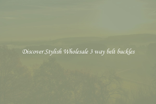 Discover Stylish Wholesale 3 way belt buckles