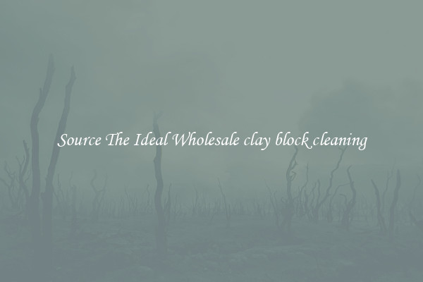 Source The Ideal Wholesale clay block cleaning
