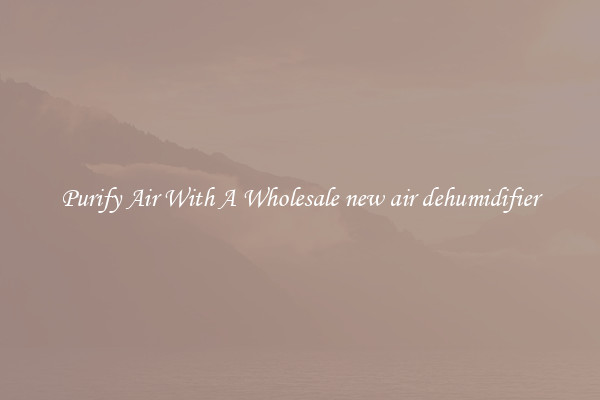Purify Air With A Wholesale new air dehumidifier